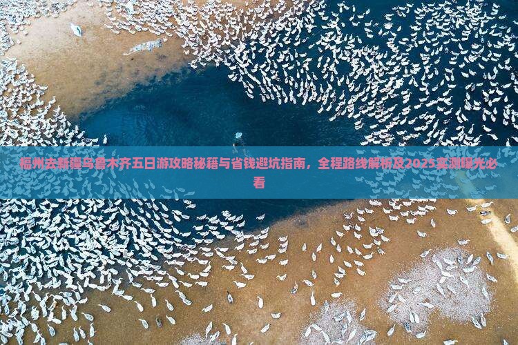 福州去新疆乌鲁木齐五日游