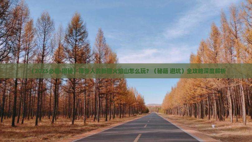 萍乡去新疆火焰山哪里玩