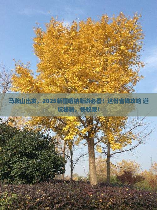 马鞍山去新疆喀纳斯必去地