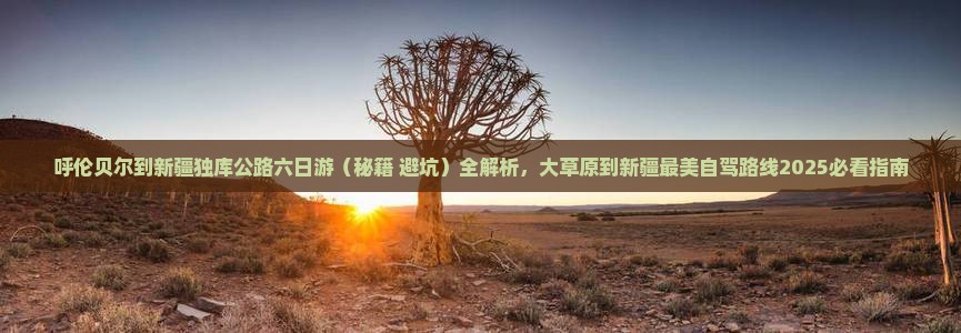 呼伦贝尔到新疆独库公路六日游