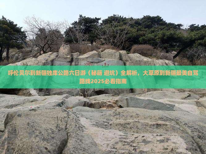 呼伦贝尔到新疆独库公路六日游