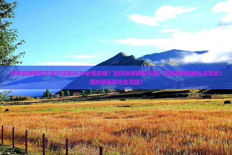 吉林去新疆布尔津六日游