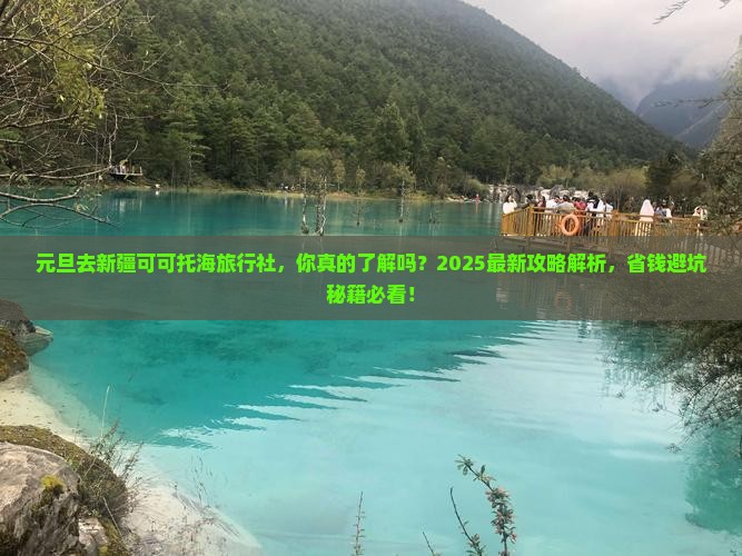 元旦去新疆可可托海旅行社
