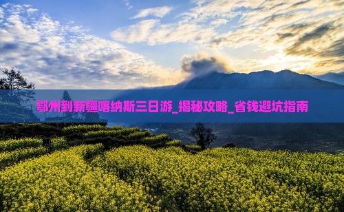 鄂州到新疆喀纳斯三日游