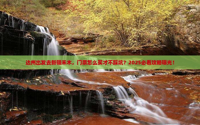 达州去新疆禾木门票