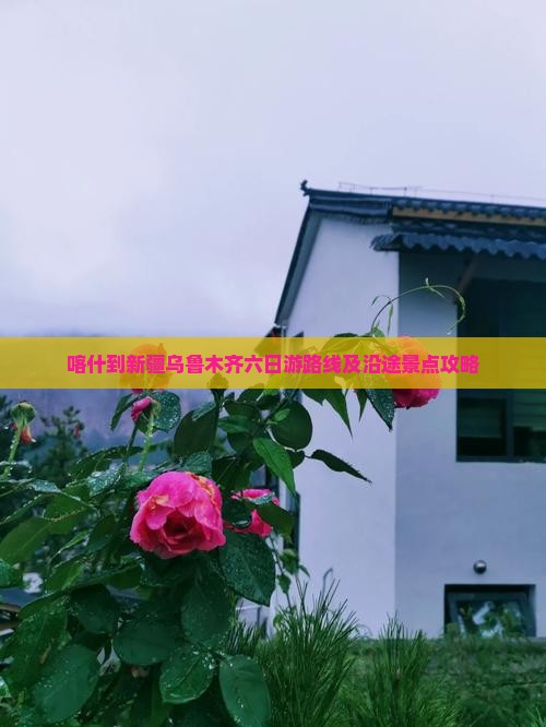 喀什到新疆乌鲁木齐六日游