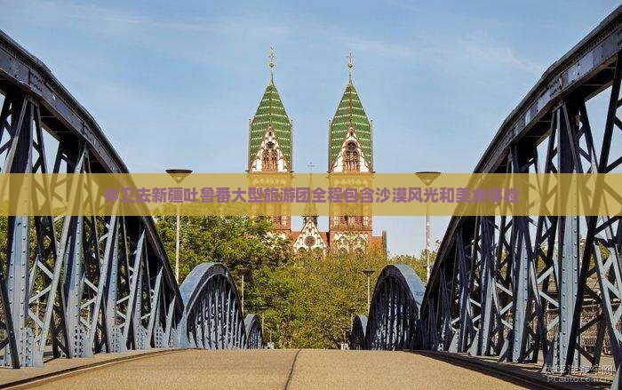 中卫去新疆吐鲁番大型旅游团