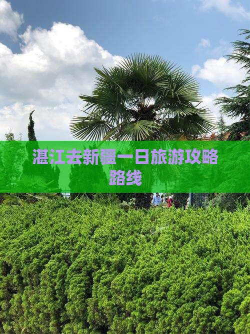 湛江去新疆一日