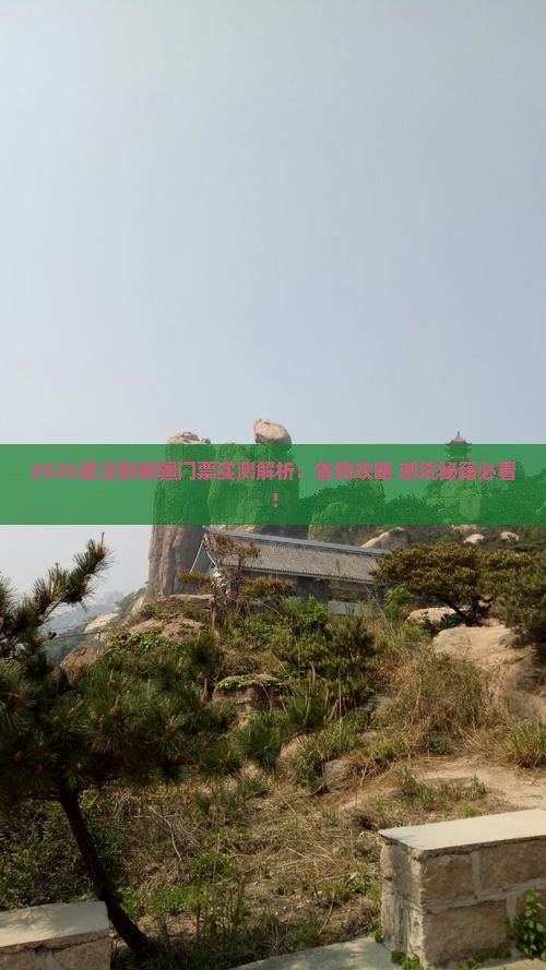 武汉到新疆门票