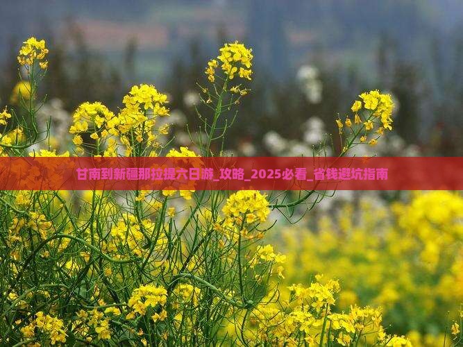 甘南到新疆那拉提六日游