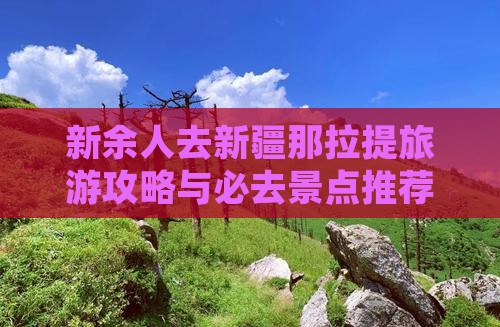新余去新疆那拉提自由团