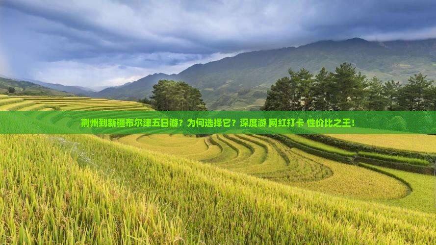 荆州到新疆布尔津五日游
