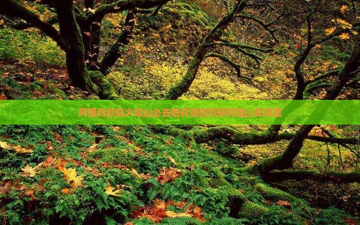 阿里到新疆火焰山必去地