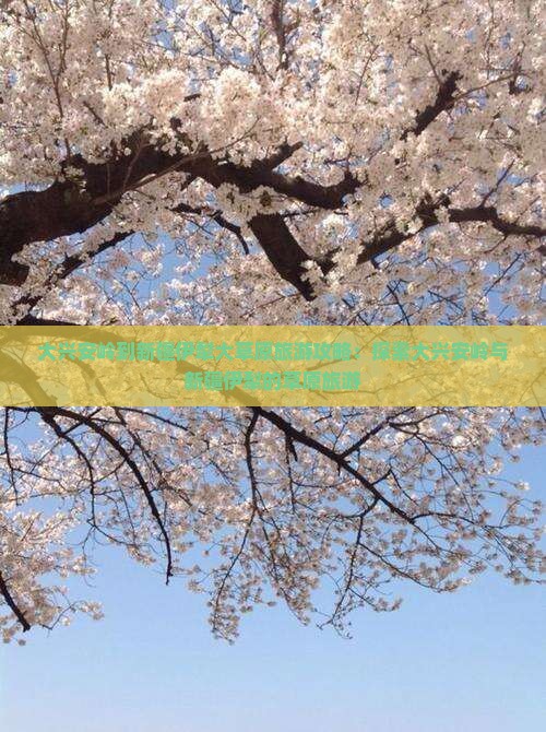 大兴安岭到新疆伊犁大草原大型旅游团