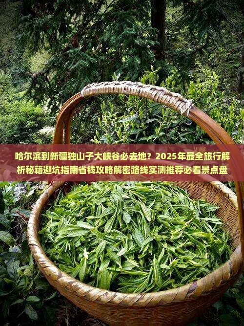哈尔滨到新疆独山子大峡谷必去地
