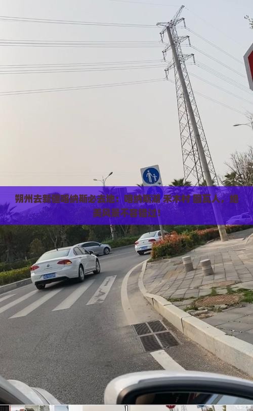 朔州去新疆喀纳斯必去地