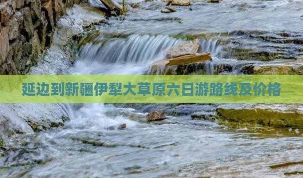 延边到新疆伊犁大草原六日游
