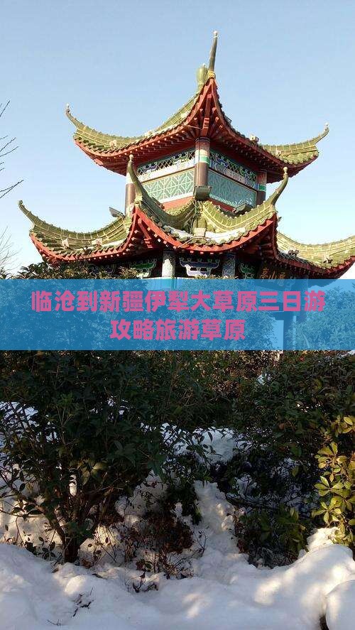 临沧到新疆伊犁大草原三日游