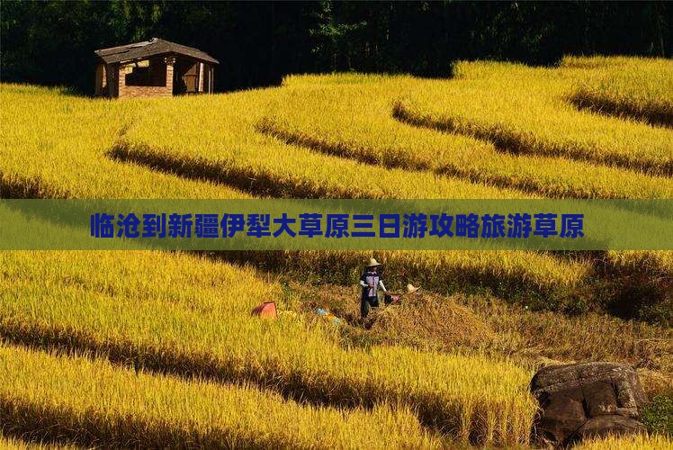 临沧到新疆伊犁大草原三日游