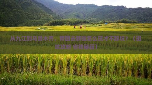 九江到新疆乌鲁木齐团体旅游