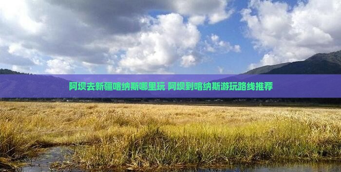 阿坝去新疆喀纳斯哪里玩
