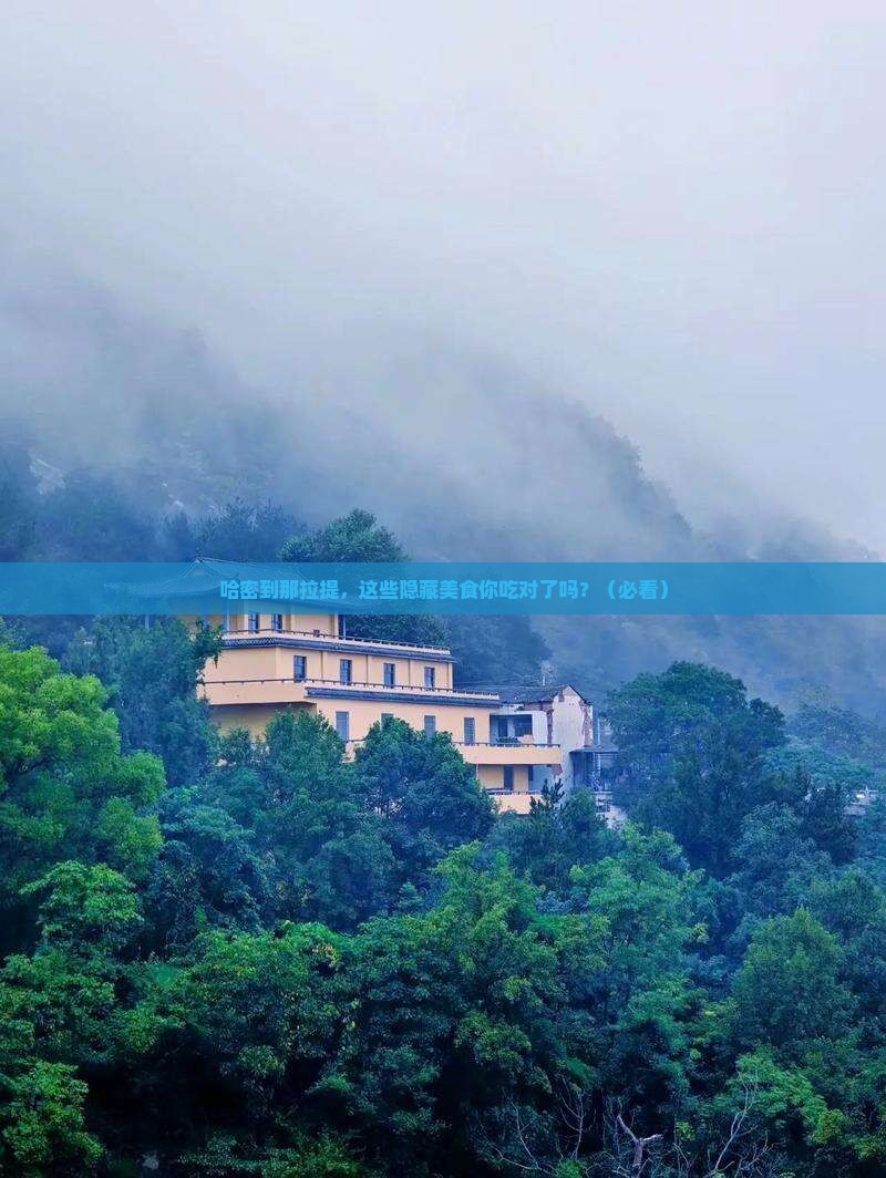 哈密到新疆那拉提旅游小吃