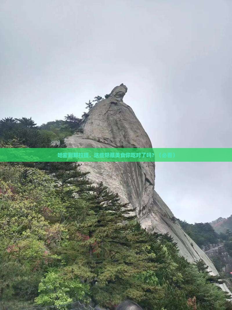 哈密到新疆那拉提旅游小吃