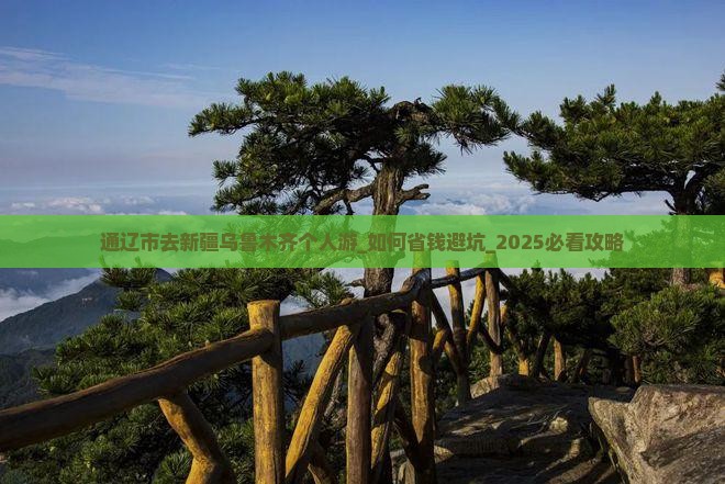 通辽市去新疆乌鲁木齐个人游