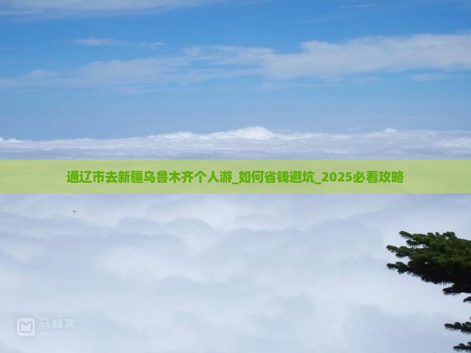 通辽市去新疆乌鲁木齐个人游