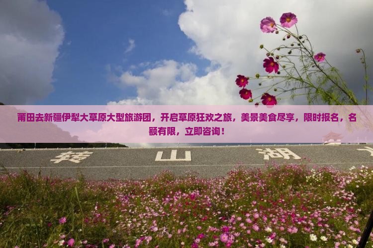 莆田去新疆伊犁大草原大型旅游团