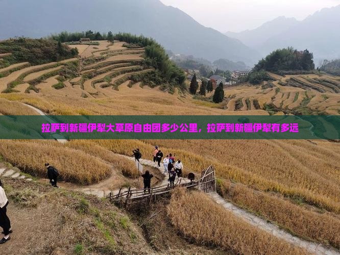 拉萨到新疆伊犁大草原自由团
