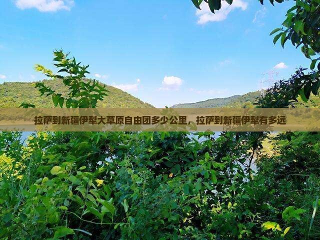 拉萨到新疆伊犁大草原自由团