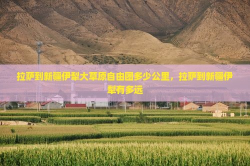 拉萨到新疆伊犁大草原自由团