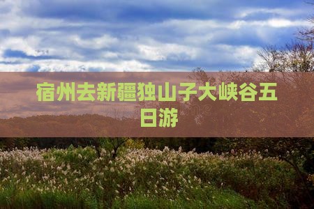 宿州去新疆独山子大峡谷五日游