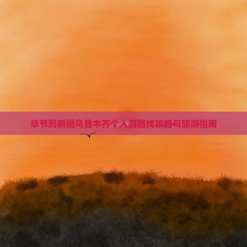毕节到新疆乌鲁木齐个人游