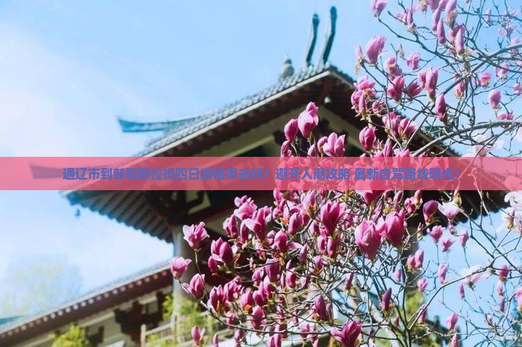 通辽市到新疆那拉提四日游