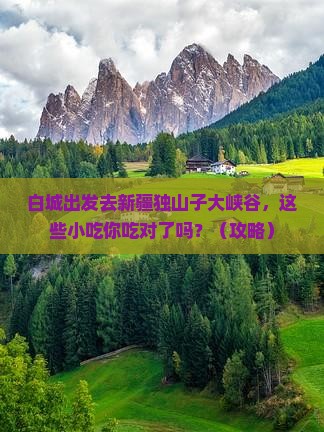 白城去新疆独山子大峡谷旅游小吃