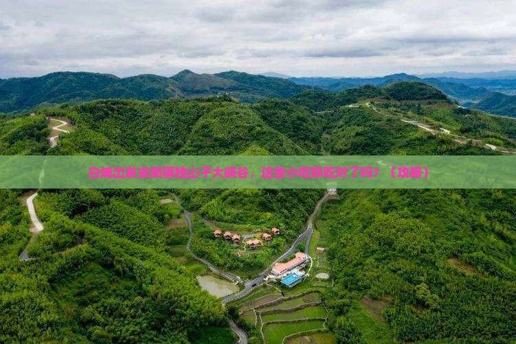 白城去新疆独山子大峡谷旅游小吃