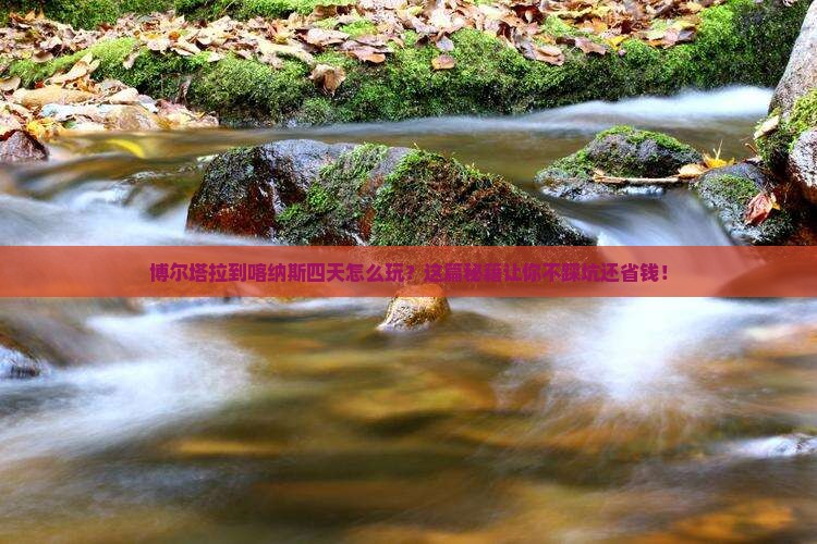 博尔塔拉到新疆喀纳斯四日游