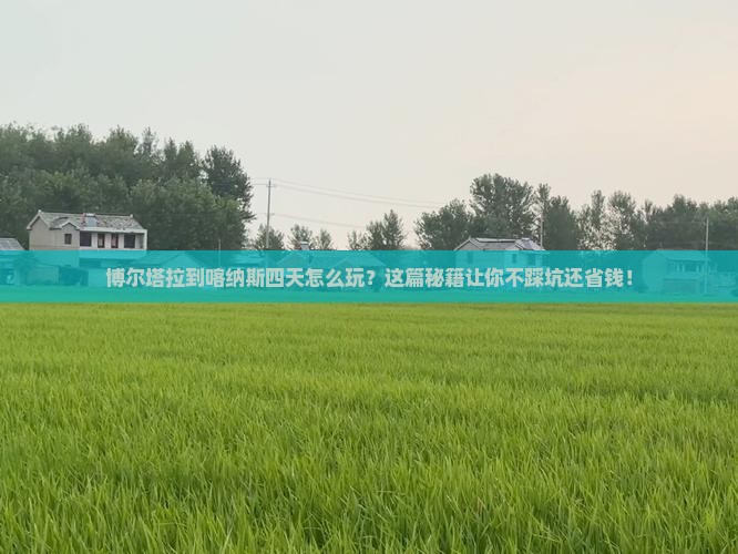博尔塔拉到新疆喀纳斯四日游