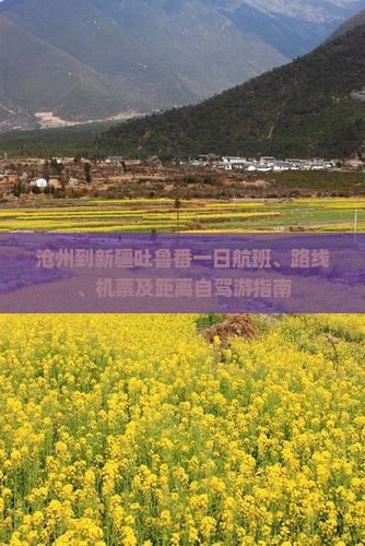 沧州到新疆吐鲁番一日