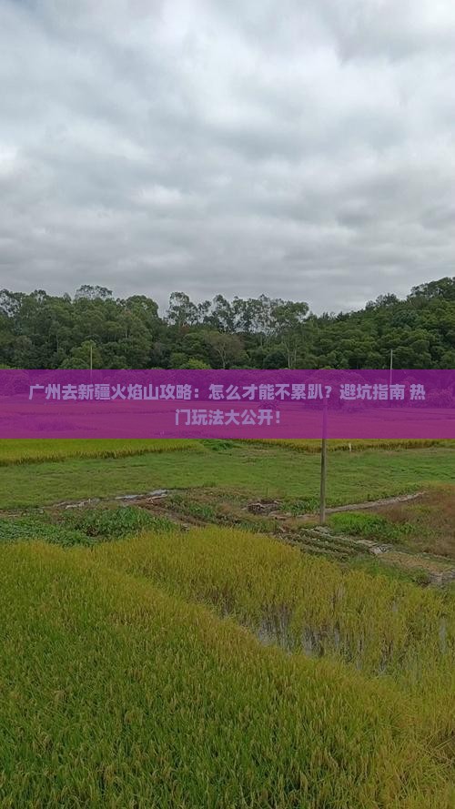 广州去新疆火焰山攻略