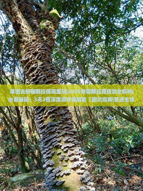 莆田去新疆那拉提哪里玩