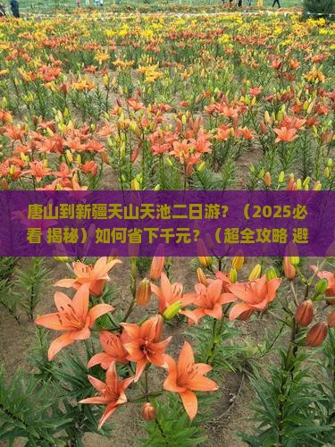 唐山到新疆天山天池二日游