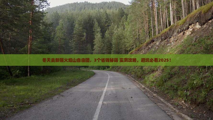 冬天到新疆火焰山自由团
