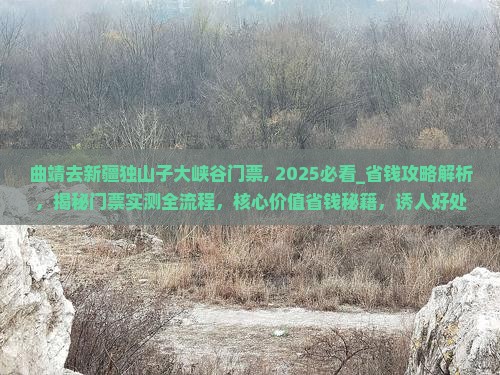 曲靖去新疆独山子大峡谷门票