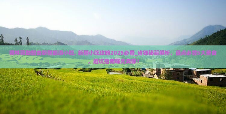 锡林郭勒盟去新疆旅游小吃