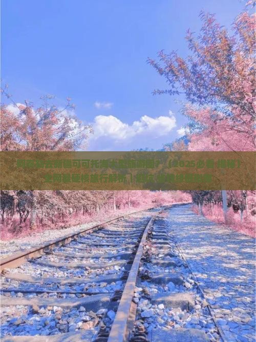 阿泰勒去新疆可可托海大型旅游团