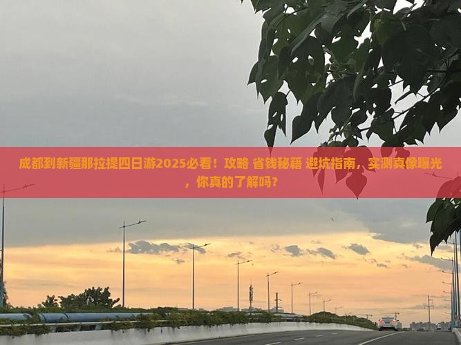 成都到新疆那拉提四日游