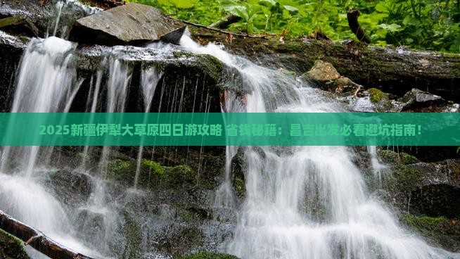 昌吉去新疆伊犁大草原四日游